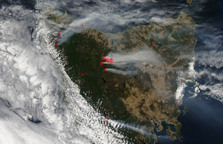 Illustration for article titled One of the Oldest Forests on Earth Has Been Burning For Weeks